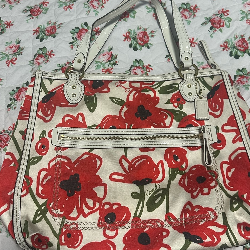 Coach Y2K Poppy Bag